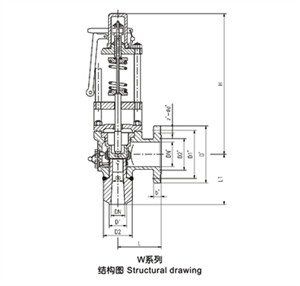 彈簧全啟式安全閥（W系列）